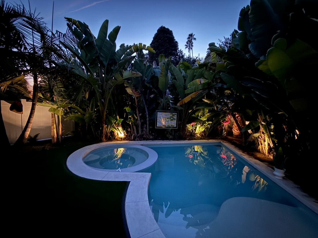 Tropical backyard pool and spa at dusk with illuminated foliage