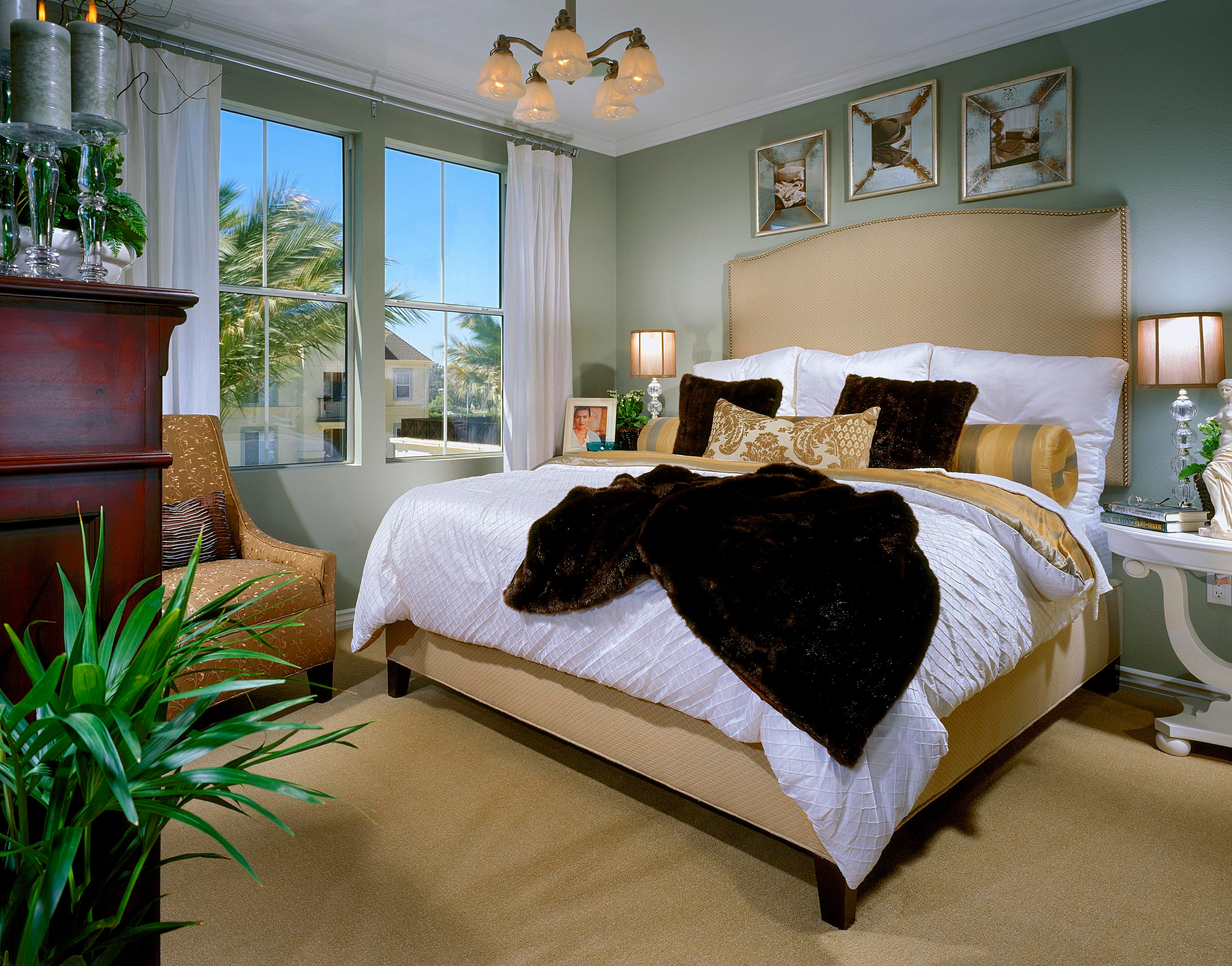 Sage green primary bedroom with upholstered bed, warm metallic accents, and tropical views